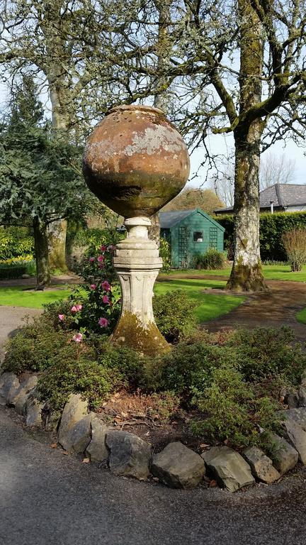No.5 Bed & Breakfast Kilcullen Dış mekan fotoğraf